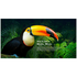 CHiQ 98 Inch 4K UHD HDR QLED Smart Google TV [2024] U98F8TGPRO image NaN