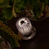 DCW Editions In The Sun 130 Table Light - Silver ITST130SISI image NaN