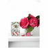 Collette Dinnigan Bar Soap Aventino di Roma BSADR image NaN