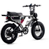 Flight Risk FR555 E-Bike Silver ATV08XSSL image NaN