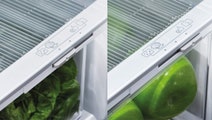 Fisher & Paykel 517L Top Mount Fridge RF521TLPW6 hero image