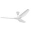 Big Ass Fans Haiku L 1.3m Universal Profile Ceiling Fan with 558.8 Downrod and Light White FR127C-U1H02-WH-4 image NaN