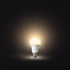 Philips Hue E27 White Starter Kit - HUEWHTKIT image NaN
