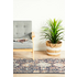 Rug Culture Legacy Medium Multi-coloured Rug 300X80CM - LEG-854-NAVY-300X80 image NaN