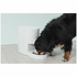 Pettecc Petwant 10L Feeder 6973516640548 image NaN