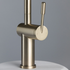 Titan Essentials Gooseneck Kitchen Mixer Tap - Pearl Gold TTPG2 image NaN
