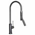 Artusi Gooseneck Mixer Tap With Pull Out Hose ASM201B image NaN