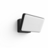 Philips Hue Discover Outdoor Floodlight HUEDISFLOOD image NaN
