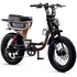 Flight Risk FR333 E-Bike Champagne ATV07DSCH image NaN