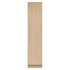 Fisher & Paykel Series 11 220L Integrated Column Freezer with Ice Right Hinge RS4621FRJK1 image NaN