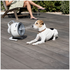 Shark FlexBreeze HydroGo Misting Portable Fan Dove FA052QDVANZ image NaN