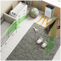 MyGenie Max Carbon Filter Air Purifier 10003666 hero image