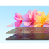 CHiQ 40 Inch M10 Full HD Smart LED Google TV L40M10 [2025] image NaN