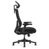 Lifespan Fitness DM9 Ergonomic Mesh High Back Office Chair LFOC-DM9BK-1 image NaN