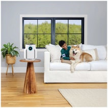 Shark NeverChange Air Purifier Compact Pro White HP072 hero image