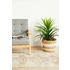 Rug Culture Legacy Large Multi-coloured Rug 400X80CM - LEG-853-BLUE-400X80 image NaN