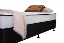 Sealy Singles Eva Firm Long Single Mattress - 735714 hero image