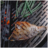 Kamado Joe Half Moon SS Cooking Grate (Fish & Veg) - Big Joe BJ-HSSCGFV image NaN