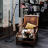 DCW Editions Gras 215 Floor Lamp - Black Body 215BL image NaN