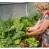 Vegepod Small Garden Stand S0007 image NaN