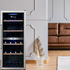 Triomph 105 Bottle Dual Zone Wine Fridge TKS105VX2Z image NaN