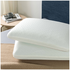 Zinus Green Tea Infused Memory Foam Pillow with Travel Pouch AU-PMPMP1-06S image NaN