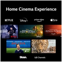 LG 65 Inch QNED81 4K UHD LED Smart TV 65QNED81SRA hero image