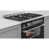Fisher & Paykel Series 9 90cm Classic Style Freestanding Dual Fuel Pyrolytic Cooker Black OR90SCG6B1 image NaN