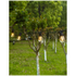 LumiFx 20 Bulb Wifi Smart Outdoor Festoon Lights 10004640 image NaN