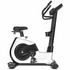 Lifespan Fitness EXC-100 Commercial Exercise Bike LFEX-EXC100 image NaN
