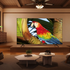 TCL 75 Inch C655 QLED 4K Google TV 75C655 image NaN