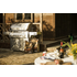 Napoleon Professional Charcoal Fuel Freestanding BBQ PRO605CSS image NaN