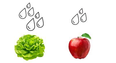 Most vegetables stay fresher for longer in high humidity, while fruits generally do better in dryer conditions.