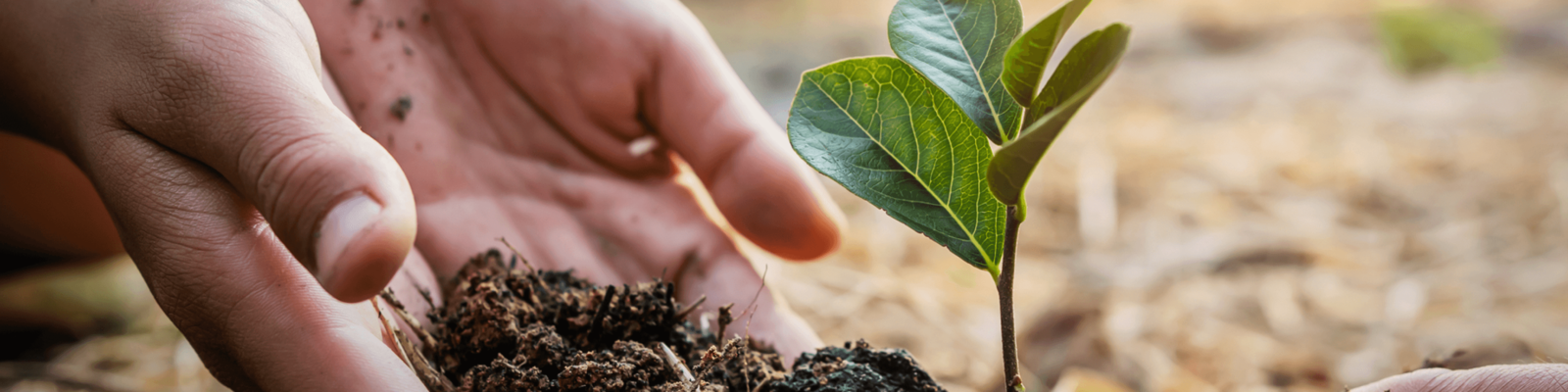 Energy Efficiency Tips