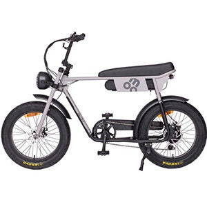 Electric Bikes