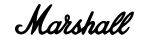 Marshall Headphones