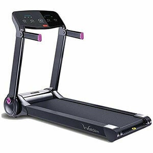 All Gym Equipment
